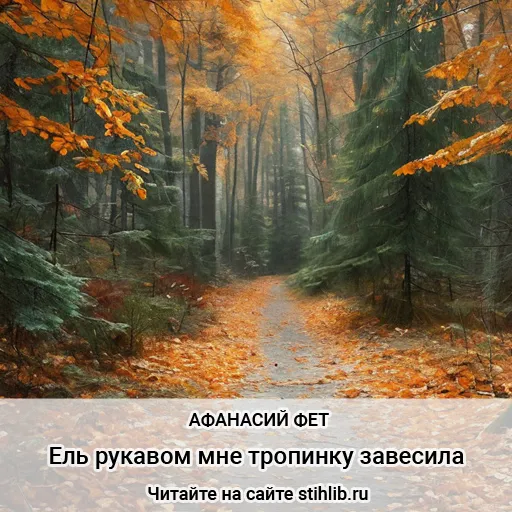 Ель рукавом мне тропинку завесила… Афанасий Фет - стихи - Стихи и Проза