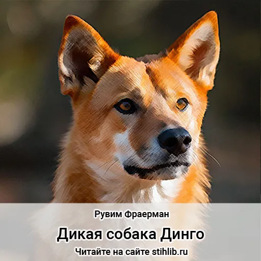 Дикая собака Динго краткое содержание - Стихи и Проза